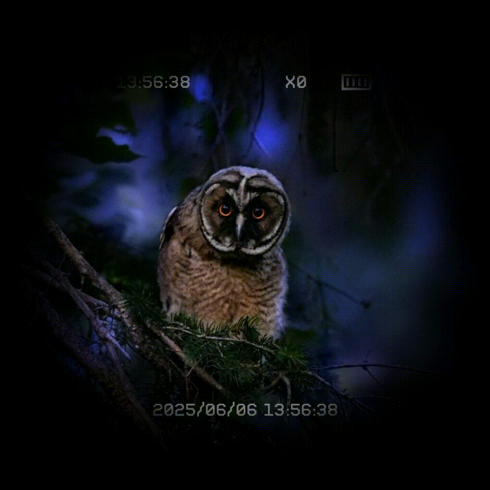 The most comprehensive guide of night vision devices |CIGMAN