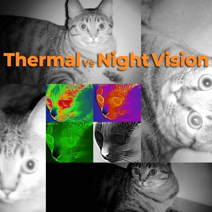 Thermal vs night vision, how do I choose? |CIGMAN