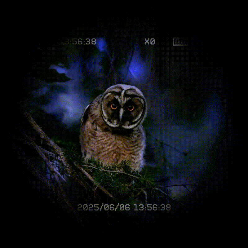 The most comprehensive guide of night vision devices|CIGMAN