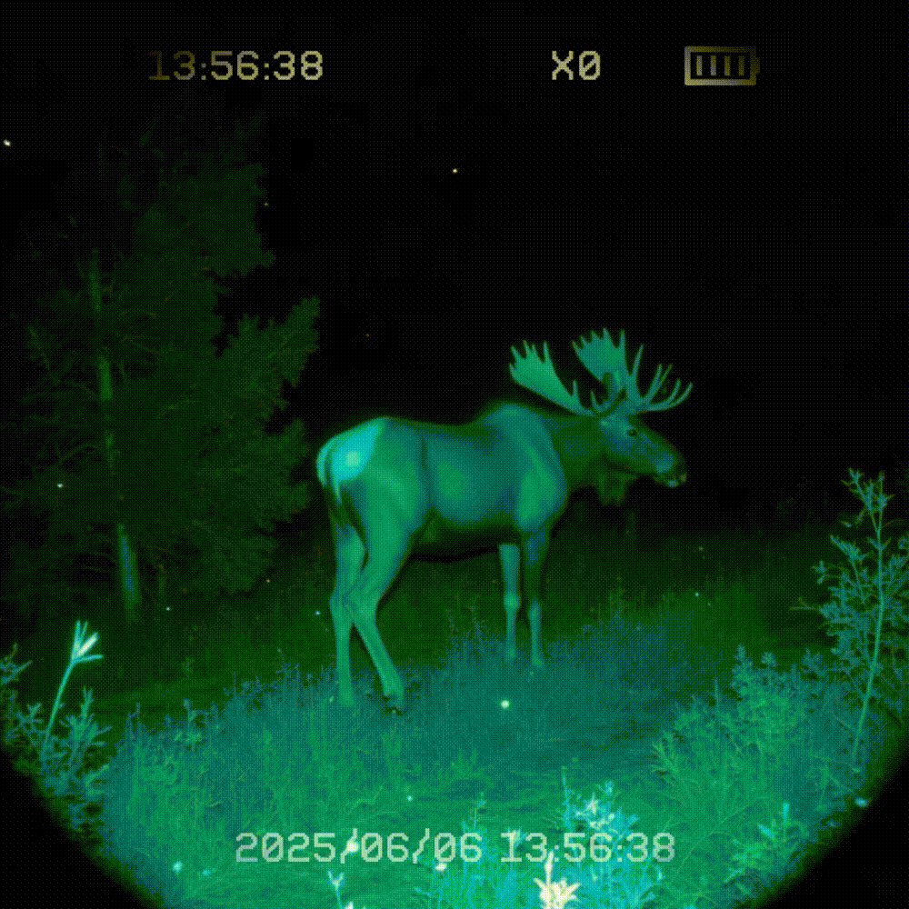 Night Vision Goggle Batteries: Types, Power Options, and Practical Tips